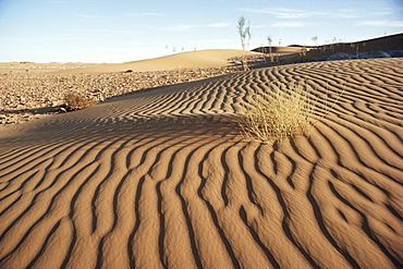 Sahara Desert, Algeria, North Africa, Africa