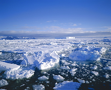 Sea ice and iceberg, Antarctica, Polar Regions