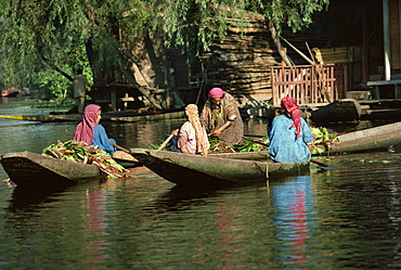 Kashmiri women, Dal Lake, Srinagar, Kashmir, India, Asia