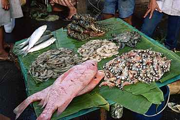 Fish market, Jakarta, Java, Indonesia, Southeast Asia, Asia