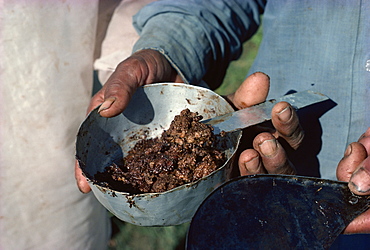 Raw opium, Rajasthan state, India, Asia