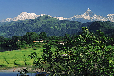 Mount Machapuchare (Machhapuchhare), Himalayas, Nepal, Asia