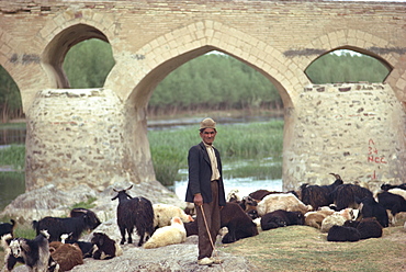 Shepherd, Shahrestan Bridge, Isfahan, Iran (Persia), Middle East