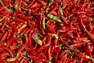 Close-up of chillies, Rajasthan state, India, Asia