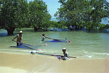 Shrimping, Lombok, Indonesia, Southeast Asia, Asia