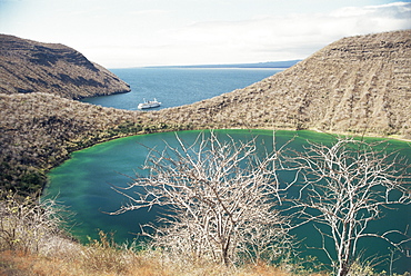 Darwin Crater, Tagus Cove, Isabella (Isla Isabela), Galapagos Islands, Ecuador, South America