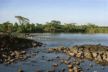 The Blue Nile coming out of Lake Tana, Bahardar, Ethiopia, Africa