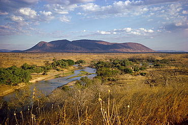 Ruaha River, Tanzania, East Africa, Africa