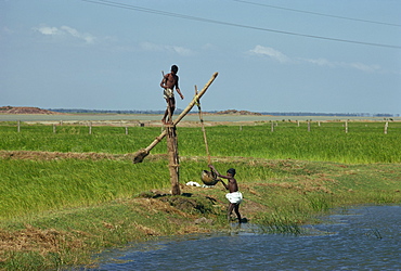 Water collection, Mahabalipuram, near Madras, Tamil Nadu state, India, Asia