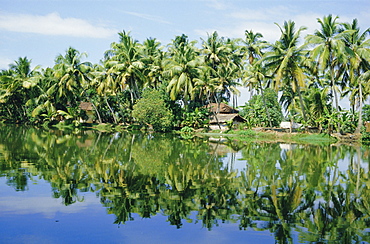 The backwaters near Kumarakom, Kerala State, India, Asia