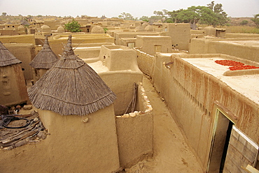 Village just outside Sangha, Dogon area, Mali, Africa