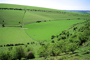 The South Downs between Lewes and Glynde, East Sussex, England, United Kingdom, Europe