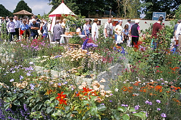 Hampton Court Palace Flower Show 2002, Hampton Court, England, United Kingdom, Europe