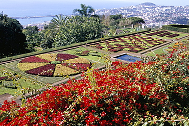 Jardim Botanico (Botanical Gardens), Funchal, Madeira, Portugal, Atlantic, Europe