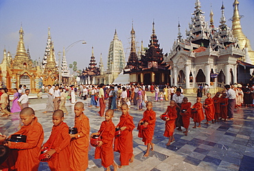 Line of Buddhist monks with begging bowls, Shwedagon (Shwe Dagon) Pagoda, Yangon (Rangoon), Myanmar (Burma), Asia