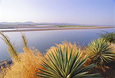 The Irrawaddy River at Bagan (Pagan), Myanmar (Burma), Asia