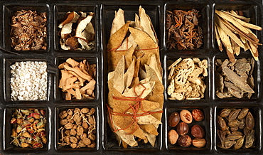 Various Chinese herbs for traditional Chinese medicine