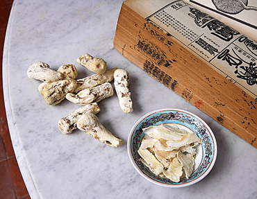 Dong Quai, traditional Chinese Medicine ingredient, considered the female ginseng because of its balancing effect on the female hormonal system