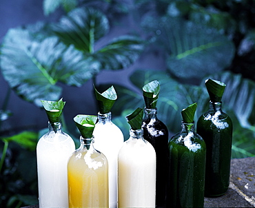 Bottles of Jamu, a traditional Indonesian herbal tonic, Indonesia, Southeast Asia, Asia