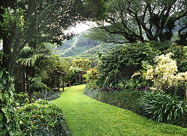 Lyon Arboretum in Honolulu, Hawaii, United States of America, Pacific