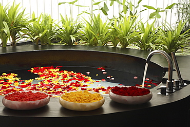 Bath with flowers at Asmara Spa in Singapore, Southeast Asia, Asia