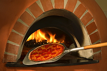 Pizza from the wood-fired oven, Italy, Europe