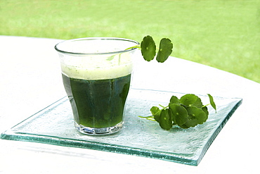 Brahmi leaves (Centella Asiatica) and a drink made from it used for abdominal disorders