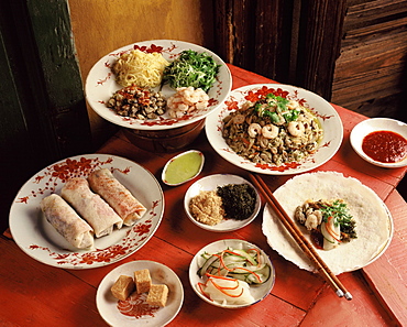 Ingredients of fresh spring rolls, China, Asia