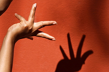 Close-up of hand and shadow of Ala Padma, a hand move, Odissi dance, India, Asia