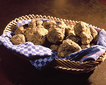 Truffles, Italy, Europe