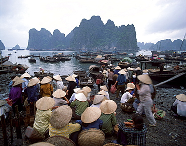 Halong Bay, Vietnam, Indochina, Southeast Asia, Asia