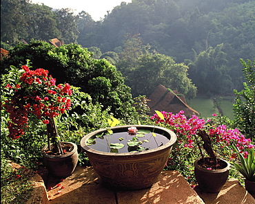 Recreational gardens in Mae Sa valley near Chiang Mai, Thailand, Southeast Asia, Asia