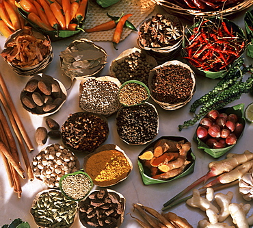 Spices used in Thai, Indian, Indonesian and Malay food, Thailand, Southeast Asia, Asia