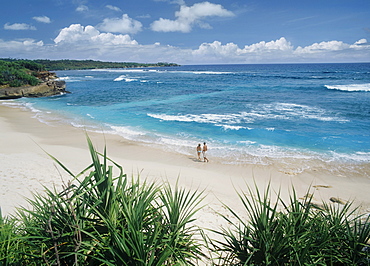 Beach on Nusa Lembongan, a small island off the coast of Bali, Indonesia, Southeast Asia, Asia