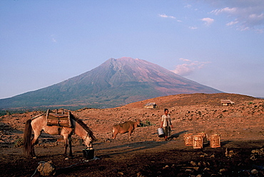 Life beneath a volcano of Gunung Agung, which last erupted in 1963, Bali, Indonesia, Southeast Asia, Asia 