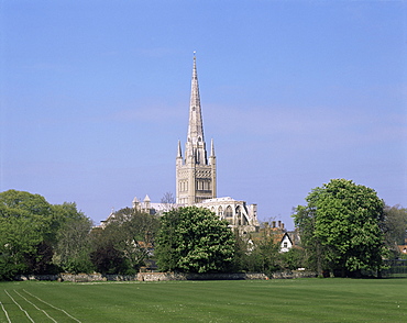 Norwich Cathedral, Norwich, Norfolk, England, United Kingdom, Europe