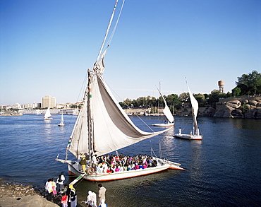 Feluccas on the River Nile, Aswan, Egypt, North Africa, Africa