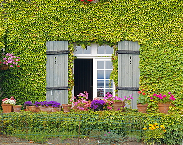 Close-up of house at St. Servan-sur-Mer, near St. Malo, Brittany, France, Europe