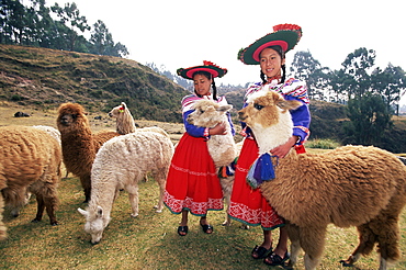Portrait of two Peruvian girls in traditional dress, with their animals, near Cuzco, Peru, South America