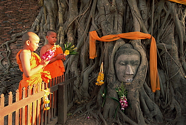 Two novice Buddhist monks with offerings, and Buddha head, Wat Phra Mahathat, Ayuthaya Historical Park, Ayuthaya (Ayutthaya), UNESCO World Heritage Site, central Thailand, Thailand, Southeast Asia, Asia