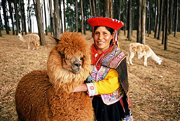 Local woman and Lama, Peru, South America