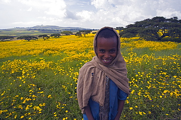 Portrait of local girl, Green fertile fields and yellow Meskel flowers in bloom after the rains, Ethiopian Highlands near the Simien mountains and Gonder, Ethiopia, Africa