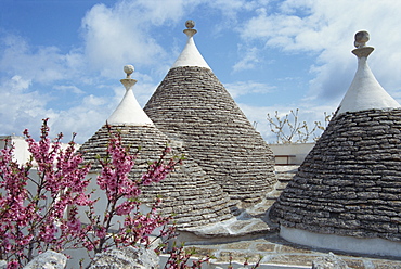 Conical rooftops of trulli near Martina Franca in Puglia, Italy, Europe