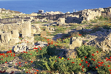 Punic and Roman ruins of city founded by Phoenicians in 730BC, Tharros, island of Sardinia, Italy, Mediterranean, Europe