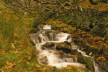 Stream running through Grindsbrook, Edale, Peak District National Park, Derbyshire, England, United Kingdom, Europe