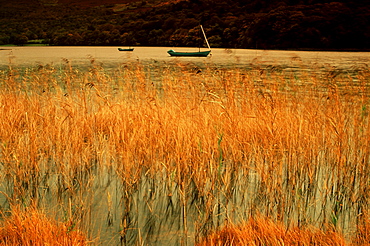 An autumn morning, Coniston Water, Lake District National Park, Cumbria, England, United Kingdom, Europe