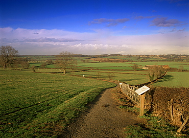 Bosworth Battlefield Country Park, site of the Battle of Bosworth in 1485, Leicestershire, England, United Kingdom, Europe