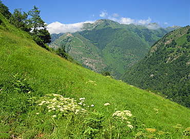 Vallee d'Aspe, Bearn, Pyrenees Atlantique, Aquitaine, France, Europe