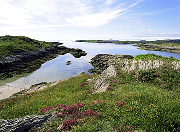 Cove, near Schull, Co. Cork, Munster, Eire (Republic of Ireland), Europe