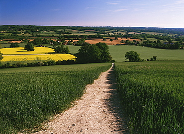 Footpath, Heaversham, near Sevenoaks, North Downs, Kent, England, United Kingdom, Europe